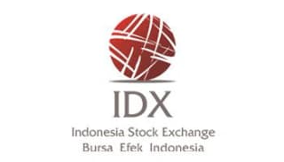Client Logo IDX