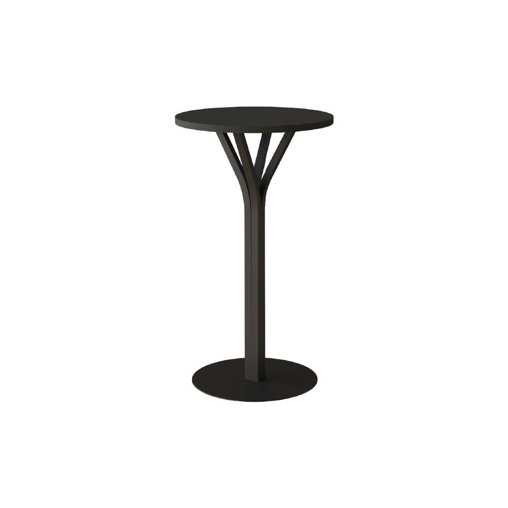 Palma